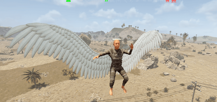 Flying Wings
